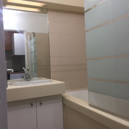 Location Appartement 1 pièce 24m² - Photo 4