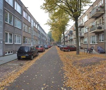 Walchersestraat 0ong, 3083 NC Rotterdam, Nederland - Foto 2