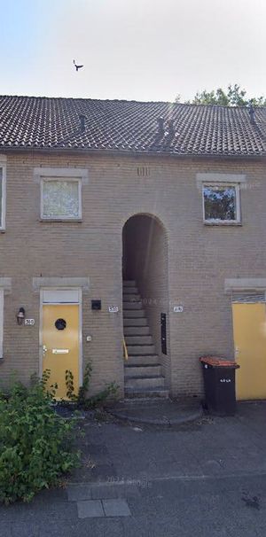 Benedenwoning - Foto 1