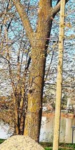 Maison TOUT COMPRIS vue sur le Richelieu/ TRANQUILLE + Très Grand 2260 PC LIBRE DECEMBRE a St Mathias ( près de Chambly et St Hilaire ) A VOIR - Photo 4