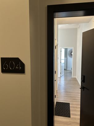 Wonderful Fully furnished 2bed, 1 bath downtown condo - Photo 1