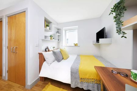 Premium Studio - Photo 4