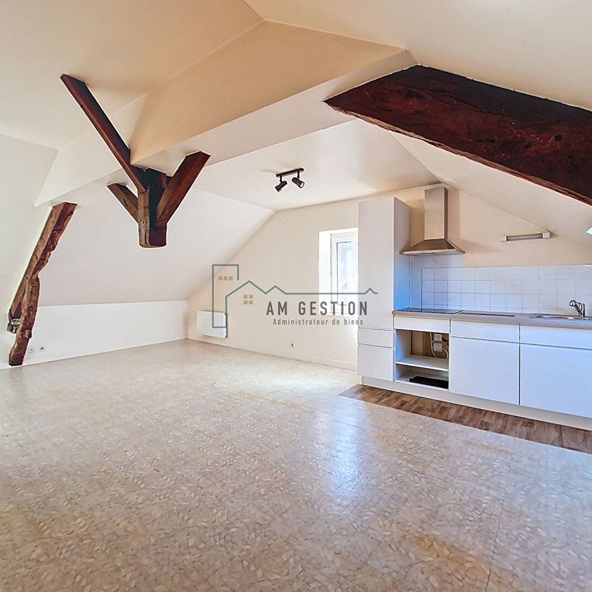 Location Appartement 1 pièce 48m² - Photo 1