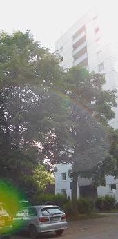 Schulze-Delitzsch-Str. 23, 58455 Witten OT Heven - Foto 1