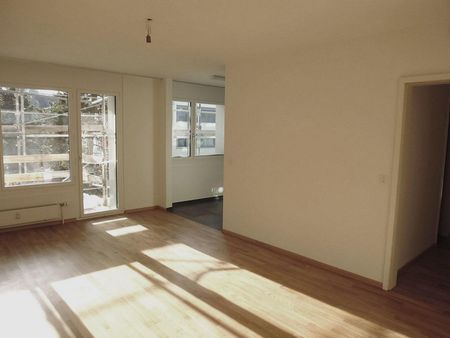 Achtung, fertig, Gundeli! - Foto 2