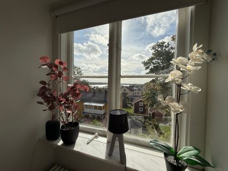 Allbogatan, Alvesta - Photo 4