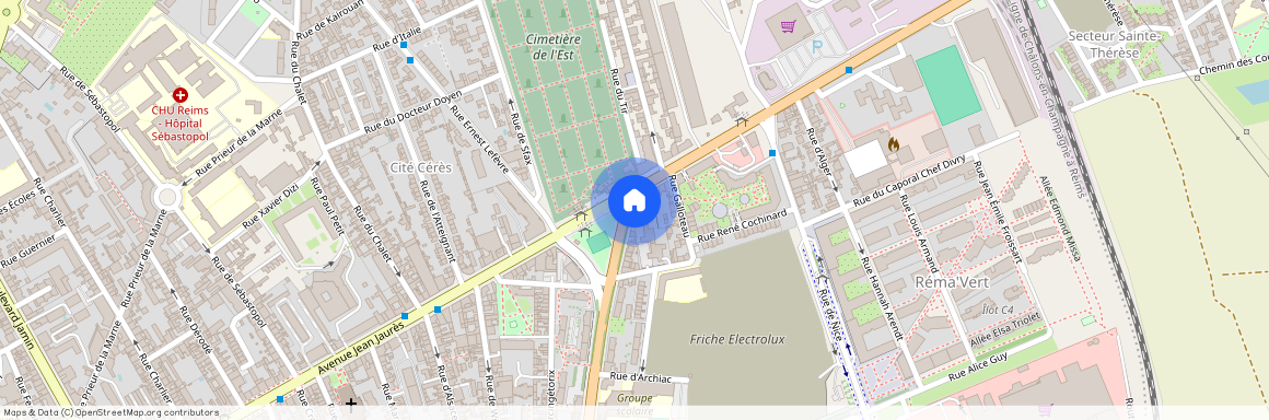 001 BD. DAUPHINOT, 51100, Reims