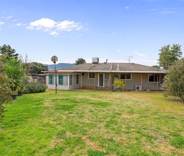 54 Oak Street, TAMWORTH NSW 2340 - Photo 6