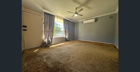 Neat & Tidy 3 Bedroom Home + Sleep out - Photo 2