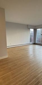 1 Bed 1 Bath Near Downtown, English Bay Sunset Beach, Stanley Park - Photo 4