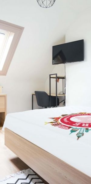 Garibaldi Roommate 5 Bedrooms at Lille - Photo 1