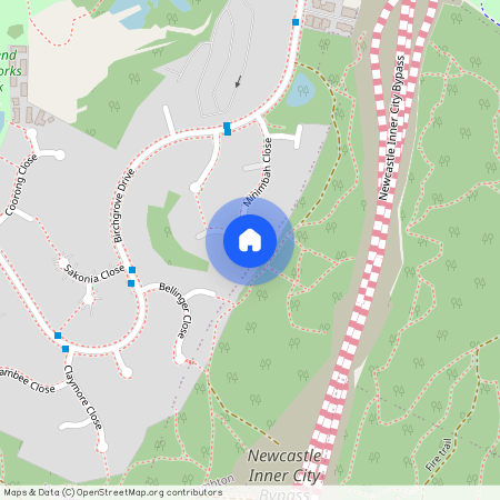 29 Minimbah Close, NSW 2287, Wallsend