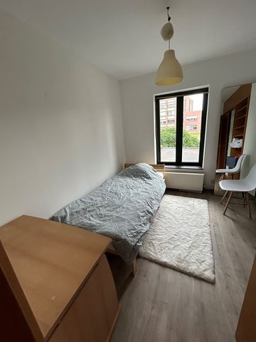 Couhousing in 3 privekamers verdeeld - Photo 3