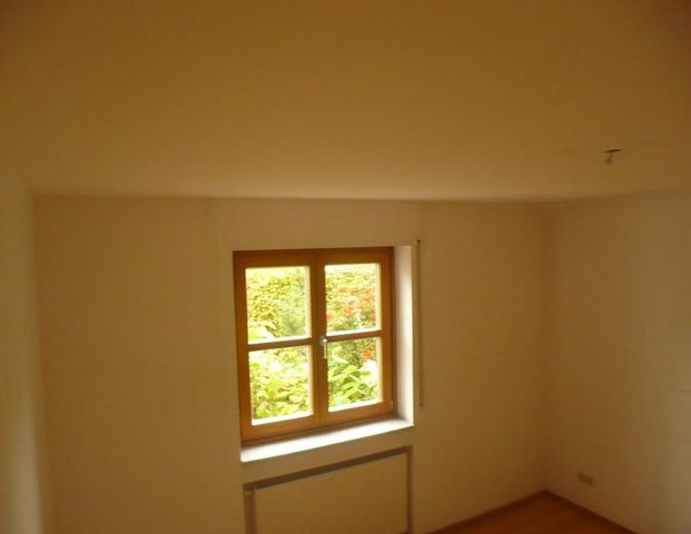 Waldtrudering: 2 Zi. mit Terasse in sehr freundlicher Hausgem. - Foto 1