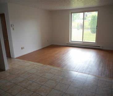 2000-209 Rue Gauthier,(juillet) Sherbrooke, QC J1H 6A5 4½ - Photo 4