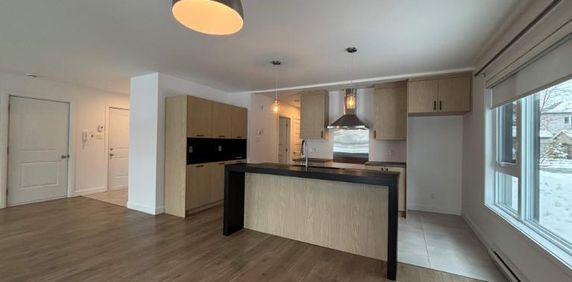 Appartement 4 1/2 Lumineux et moderne - Photo 2