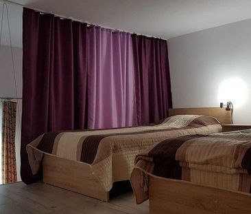 3 camere la vila | CENTRAL| Gruia| Litere| Bussines| UTCN| Coleg(a) - Photo 3