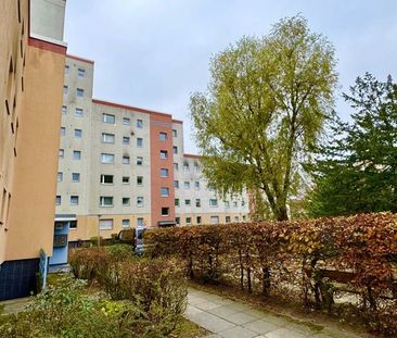 Frisch sanierte 2-Zimmer-Wohnung mit Balkon - Photo 2