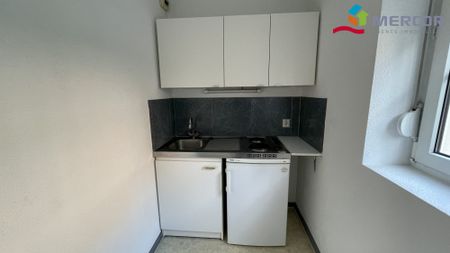 Location Appartement 1 pièce 23m² STRASBOURG 67000 - Photo 3