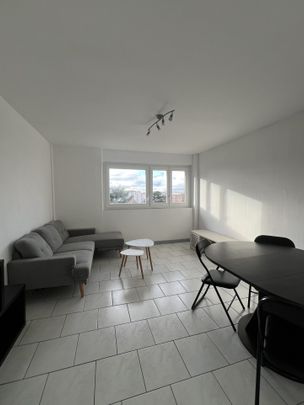 APPARTEMENT T3 MEUBLE - VILLEURBANNE Villeurbanne (69100) Le bien en vidéo - Photo 1