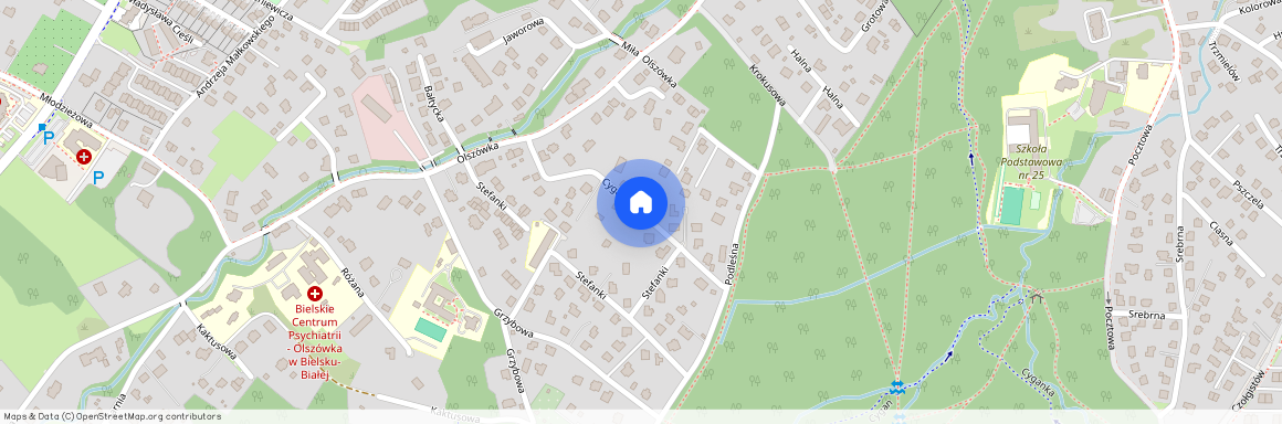 ul. Wspaniała, Olszówka, Mikuszowice Śląskie, Bielsko-Biała, śląskie