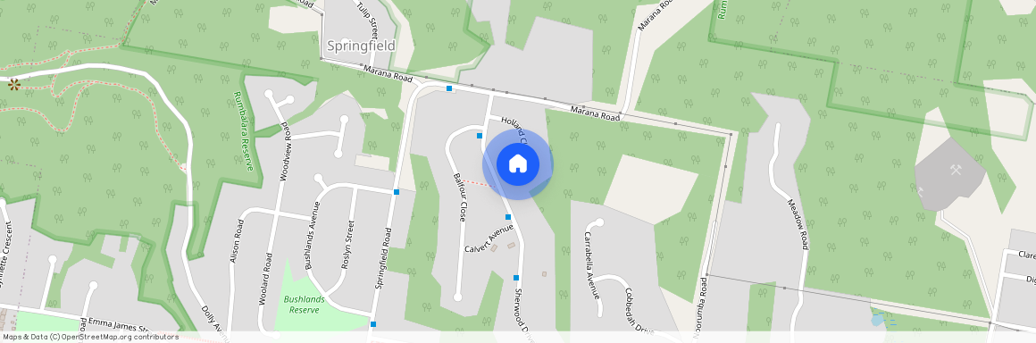 14 Holland Close, NSW 2250, Springfield