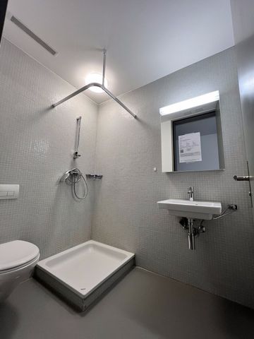 Schöne 4.5-Zimmerwohnung im Erdgeschoss zu vermieten - Foto 3