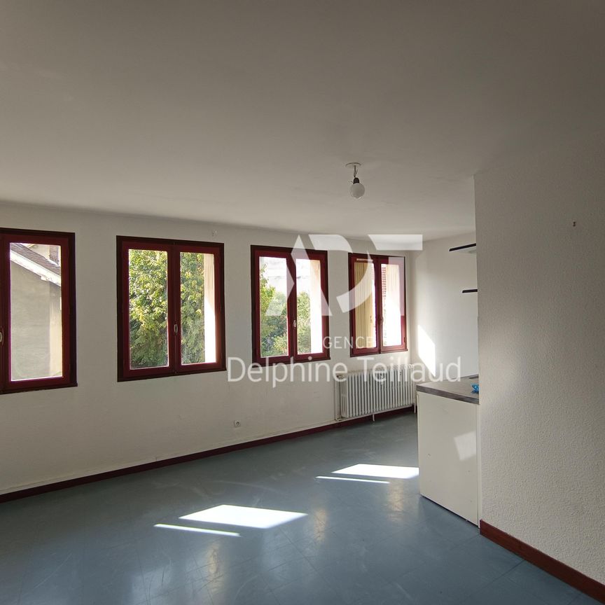 Location Appartement 1 pièce 22m² GRENOBLE 38000 - Photo 1