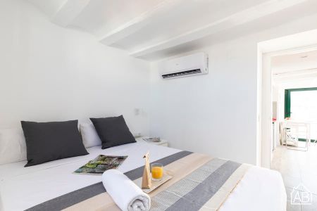 Penthouse with Private Terrace on Paseo del Born 24 - Photo 4