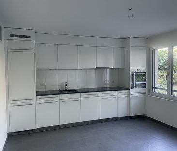 Moderne Wohnung im EG (mit Lift) in Birsfelden - Photo 3