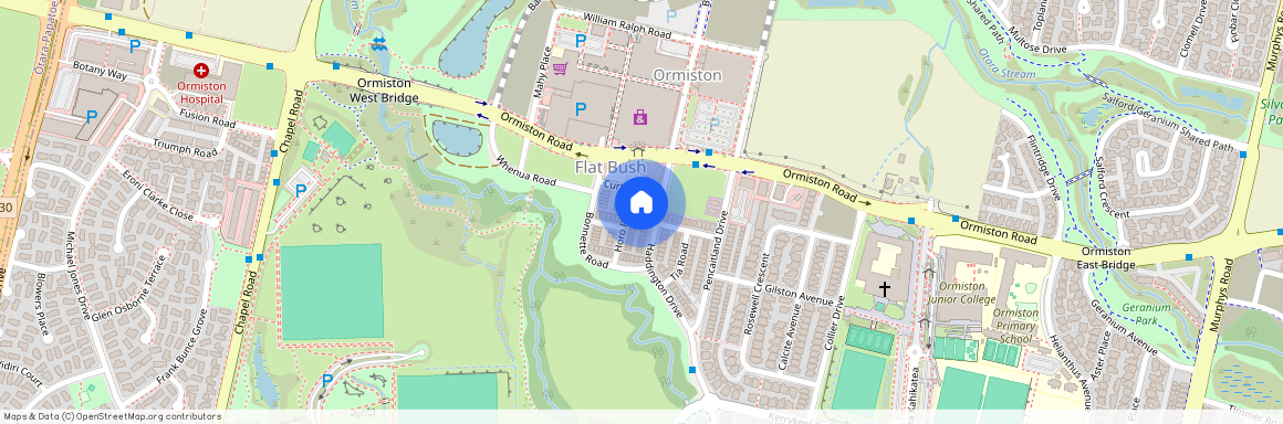 5 Gallipoli Place, Flat Bush, Manukau City