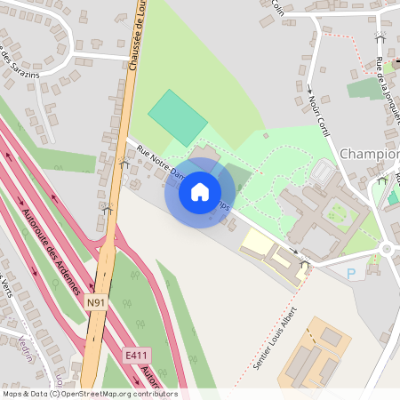 Rue Notre Dame des Champs, 48, 5020, Namur Champion