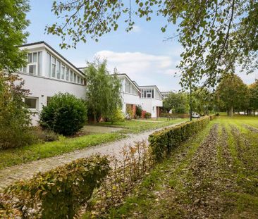 Maison Familiale Besmerstraat, Maastricht - À Louer - Foto 4