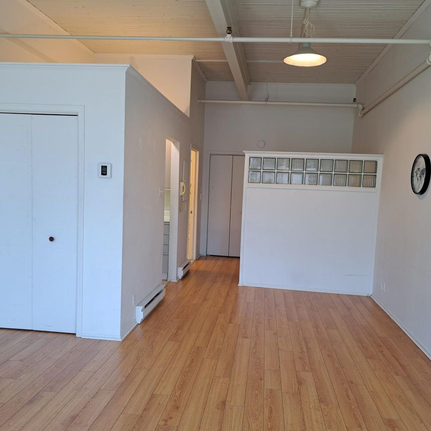 Le 1850 Saint-Antoine, St-Hyacinthe - Photo 1