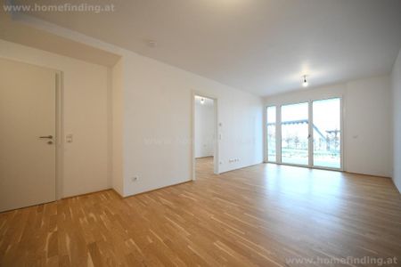 südseitige Gartenwohnung, 2 Zimmer, Garage möglich I befristet - Foto 4