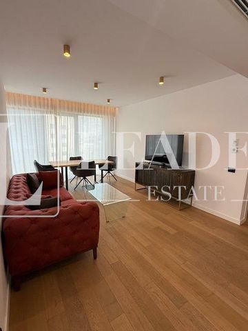 Inchiriere apartament I Herastrau - Photo 2