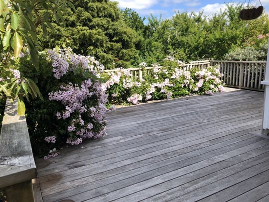 Family Home Three Bedrooms Meadowbank - Photo 1