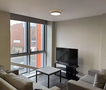 Deluxe Studio - Photo 2