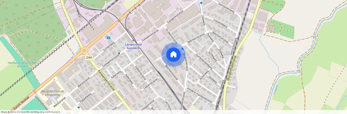 4900, Langenthal, Grubenstrasse, 39