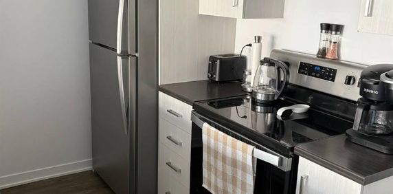 Logement 1 Chambre Et 1 Salle De Bain - Photo 2