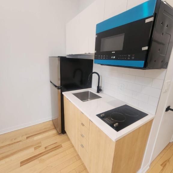 1 CH - 1 SDB - Montréal - $1,195 /mo - Photo 1