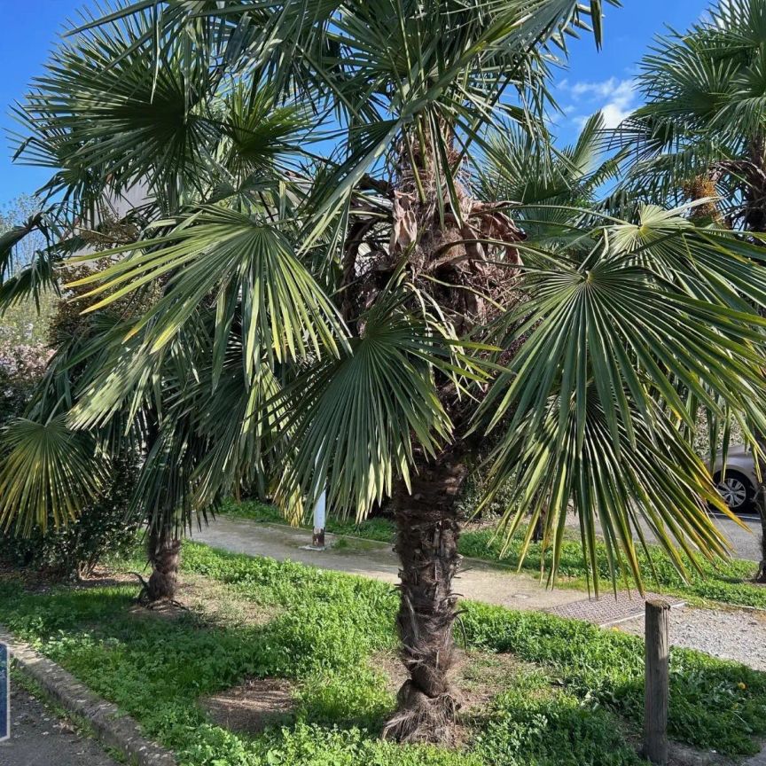 Appartement à louer 2 pièces 46.15m² - Photo 1