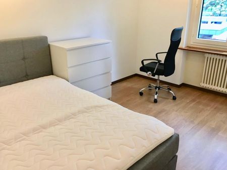 Simon #1 - Experience 60's Charm in Zürich's Green Oasis - Photo 2