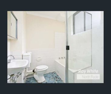 6 MONTH LEASE - Photo 5