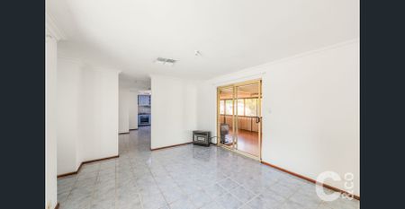 Freshly Painted 3 x 1 with Powered Shed! - Photo 4