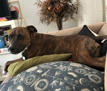 Montmorency - Photo 1