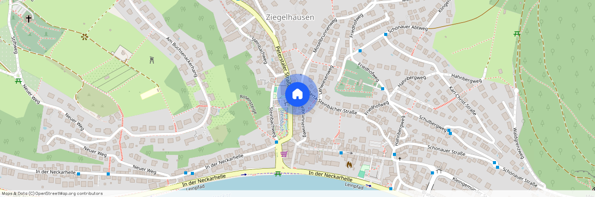 Moselbrunnenweg 37, 69118 Heidelberg