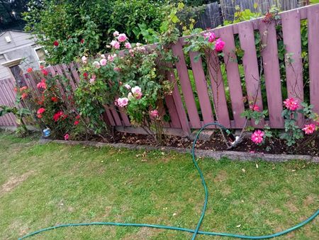 Room in a Shared House, Tokyngton Avenue, HA9 - Photo 5