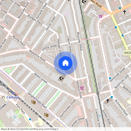 Thesiger Street, Cathays, Cardiff, Cardiff, CF24 4BN, Cf24