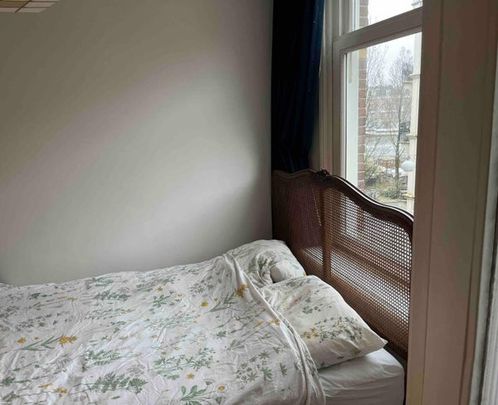 Te huur: Appartement Tweede Jan Steenstraat 119 2 in Amsterdam - Foto 1